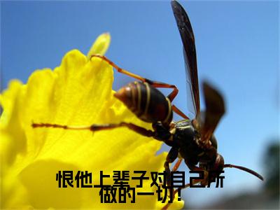 江玥周崇京(恨他上辈子对自己所做的一切!)全文免费阅读无弹窗大结局_(江玥周崇京)恨他上辈子对自己所做的一切!最新章节列表_笔趣阁(江玥周崇京)
