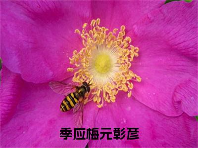 季应梅元彰彦(元彰彦季应梅)全文免费阅读无弹窗大结局_季应梅元彰彦(元彰彦季应梅)最新章节列表_笔趣阁(元彰彦季应梅)
