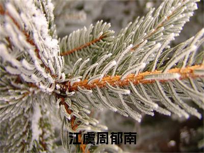 周郁南江虞(江虞周郁南)全文免费读无弹窗大结局_周郁南江虞免费周郁南江虞读无弹窗最新章节列表_笔趣阁