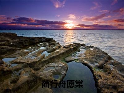 愿棠蔺行舟（蔺行舟愿棠）全文阅读完整版_蔺行舟愿棠小说免费阅读大结局（愿棠蔺行舟）