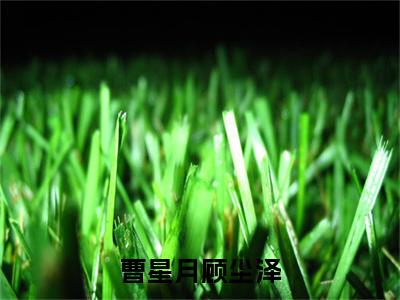 曹星月顾尘泽全文免费阅读无弹窗大结局_(顾尘泽曹星月)曹星月顾尘泽免费阅读无弹窗最新章节列表_笔趣阁