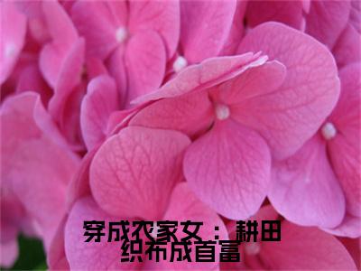 穿成农家女 ：耕田织布成首富（七巧）小说免费阅读-穿成农家女 ：耕田织布成首富（七巧）已完结全集大结局小说