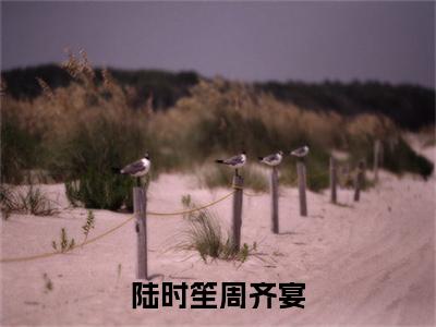 周齐宴陆时笙(陆时笙周齐宴)全文免费阅读无弹窗大结局_周齐宴陆时笙免费最新章节列表_笔趣阁