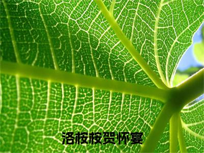 洛桉桉贺怀宴小说（贺怀宴洛桉桉）全文免费阅读_（贺怀宴洛桉桉）洛桉桉贺怀宴小说最新章节列表_笔趣阁（贺怀宴洛桉桉）