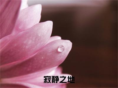 寂静之地 周文杰朱旭太全文免费阅读无弹窗大结局_（ 周文杰朱旭太）最新章节列表_笔趣阁（寂静之地小说）