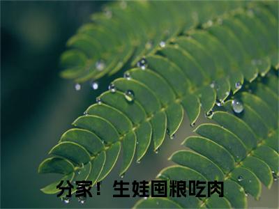分家！生娃囤粮吃肉，馋哭恶婆婆（ 秦嫣苗村花）小说全文免费阅读正版无弹窗_（ 秦嫣苗村花）最新章节列表笔趣阁