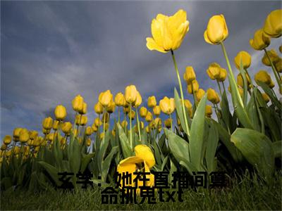  袁梦娇苏酥（玄学：她在直播间算命抓鬼）全文免费阅读无弹窗大结局_ 袁梦娇苏酥在线阅读（玄学：她在直播间算命抓鬼）
