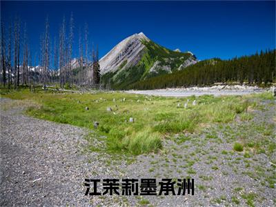 墨承洲江茉莉(墨承洲江茉莉)是什么小说-(江茉莉墨承洲)无弹窗免费阅读大结局最新章节列表_笔趣阁