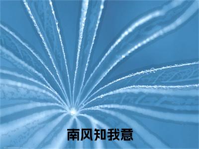 南风知我意(慕南栀凌澈)全文免费阅读_南风知我意(慕南栀凌澈)最新章节小说免费阅读(南风知我意)