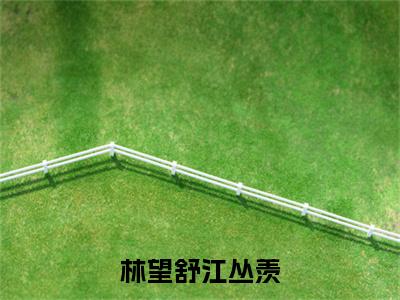江丛羡林望舒小说(林望舒江丛羡)全文免费阅读无弹窗大结局_江丛羡林望舒小说最新章节列表_笔趣阁