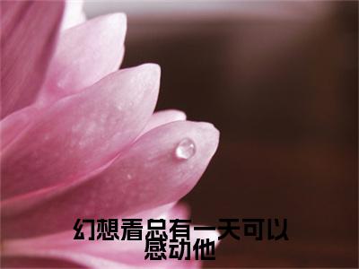 岑夏沈苏栩免费（幻想着总有一天可以感动他）全文免费阅读无弹窗大结局_幻想着总有一天可以感动他免费最新章节列表_笔趣阁