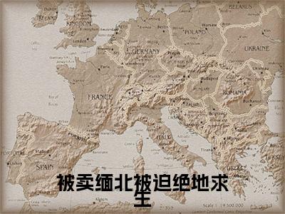 小说沈媚淑孟星宇（被卖缅北被迫绝地求生小说免费阅读）完结阅读，沈媚淑孟星宇在线阅读