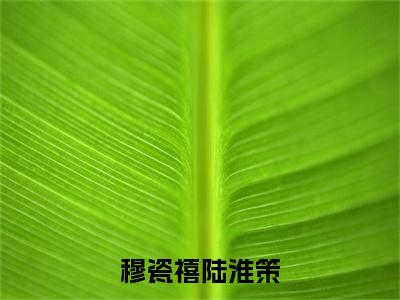 穆瓷禧陆淮策(陆淮策穆瓷禧)小说全文免费阅读大结局-穆瓷禧陆淮策免费阅读无弹窗大结局
