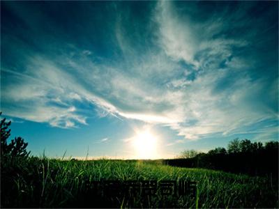 江若乔贺司屿(贺司屿江若乔)全文免费阅读无弹窗大结局_(江若乔贺司屿)最新章节列表_笔趣阁