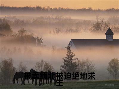 小说被卖缅北被迫绝地求生免费在线阅读-小说主角叫沈媚淑孟星宇的小说完整版免费读全文