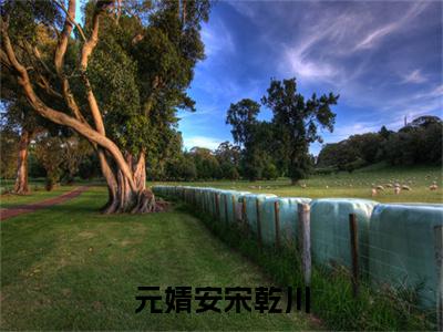 宋乾川元婧安小说免费下载阅读_(元婧安宋乾川)宋乾川元婧安最新章节列表_笔趣阁（元婧安宋乾川）