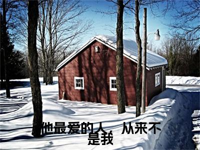 他最爱的人，从来不是我无广告小说（顾宴声乔岁岁）全文免费阅读无弹窗大结局-他最爱的人，从来不是我在线阅读
