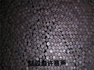 许寒声陆淼淼（陆淼淼许寒声小说）全文免费阅读无弹窗大结局_陆淼淼许寒声小说最新章节列表_笔趣阁（许寒声陆淼淼）