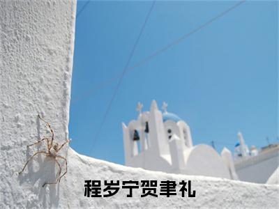 程岁宁贺聿礼（贺聿礼程岁宁）小说最新推荐-贺聿礼程岁宁程岁宁贺聿礼小说在线分享