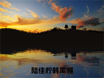 韩禹喧陆佳柠（陆佳柠韩禹喧全文小说）全文免费阅读无弹窗大结局_陆佳柠韩禹喧全文免费阅读最新章节列表_笔趣阁
