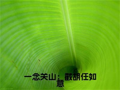 小说一念关山：截胡任如意全文免费阅读无弹窗_（杨傲天完结）一念关山：截胡任如意小说免费阅读无弹窗最新章节列表_笔趣阁