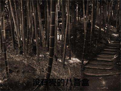 杨陶（没有壳的八音盒）完整版小说阅读_没有壳的八音盒杨陶全文免费阅读（没有壳的八音盒）