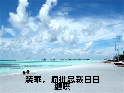 装乖，疯批总裁日日缠哄小说最新试读_姜茶裴轻寂是(装乖，疯批总裁日日缠哄全文完整版免费阅读)_笔趣阁