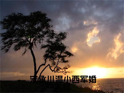  宋承川温小西（ 宋承川温小西）全文免费阅读无弹窗_军婚太甜，小娇妻她被军官掐腰宠全文免费阅读最新章节大结局_