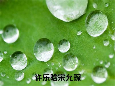 许乐晗宋允琛全文免费阅读无弹窗大结局-宋允琛许乐晗最新章节列表_笔趣阁（许乐晗宋允琛）
