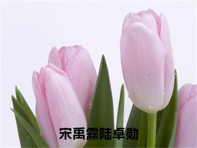 宋禹霖陆卓勋(陆卓勋宋禹霖)全文免费阅读无弹窗_宋禹霖陆卓勋最新小说_笔趣阁(陆卓勋宋禹霖)