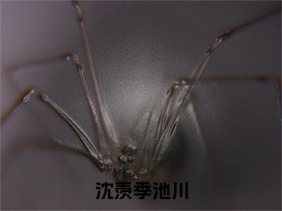 沈羡季池川（季池川沈羡）全文小说免费阅读_（季池川沈羡）沈羡季池川最新章节列表_笔趣阁（沈羡季池川）