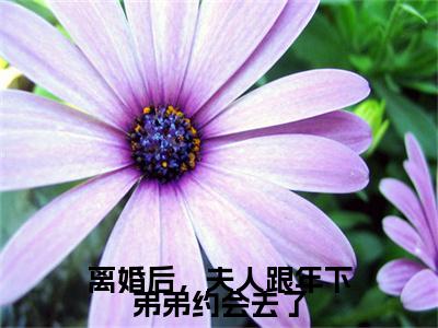 离婚后,夫人跟年下弟弟约会去了小说免费阅读司云凝薄池衍小说全文免费阅读_(离婚后,夫人跟年下弟弟约会去了)司云凝薄池衍最新章节列表笔趣阁