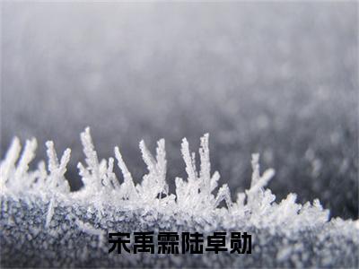 宋禹霖陆卓勋(陆卓勋宋禹霖)小说全文小说免费阅读_宋禹霖陆卓勋最新章节列表笔趣阁(陆卓勋宋禹霖)