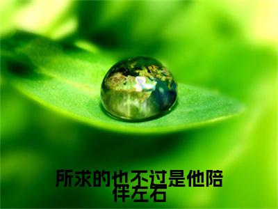 所求的也不过是他陪伴左右是什么小说-（燕淇炽木澜）所求的也不过是他陪伴左右无弹窗免费阅读大结局最新章节列表_笔趣阁