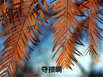 夺损啊，我给李世民看安史之乱火爆小说（ 朱元璋朱标）全文免费阅读无弹窗大结局_夺损啊，我给李世民看安史之乱火爆小说小说全文免费阅读最新章节列表（ 朱元璋朱标）