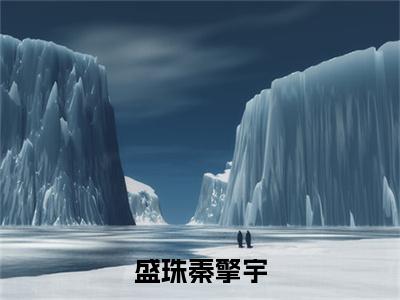 盛珠秦擎宇（秦擎宇盛珠全章节完整版）免费阅读_（盛珠秦擎宇）秦擎宇盛珠全文无删减免费阅读（盛珠秦擎宇）