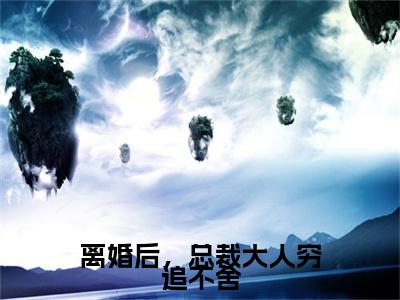 苏向晨温语柔最后结局如何,离婚后,总裁大人穷追不舍强推全文阅读无弹窗