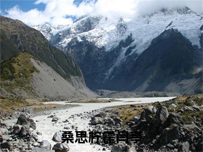 桑思柠霍闫亭(霍闫亭桑思柠）小说全文免费读无弹窗大结局_桑思柠霍闫亭小说章节试读最新章节列表笔趣阁