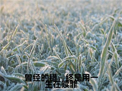 曾经的错，终是用一生在赎罪小说（慕容岁安楚宴知）全文完整版免费阅读-慕容岁安楚宴知全文完整版免费阅读（慕容岁安楚宴知）