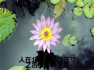 人在北宋开局以三寸之舌战少林（ 阿朱王语嫣）正版小说最新章节在线阅读_（ 阿朱王语嫣全文免费阅读无弹窗）