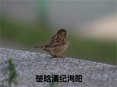 楚晗清纪洵阳小说（纪洵阳楚晗清）全文免费阅读无弹窗_（纪洵阳楚晗清）楚晗清纪洵阳最新章节列表_笔趣阁（楚晗清纪洵阳）