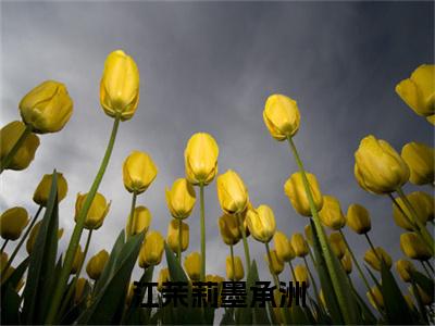 墨承洲江茉莉免费小说-江茉莉墨承洲小说完整版阅读