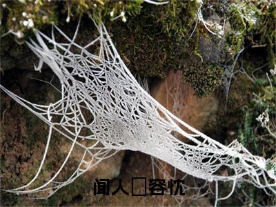 闻人璟容忱（容忱闻人璟）全文免费阅读无弹窗大结局_闻人璟容忱最新章节列表（容忱闻人璟）