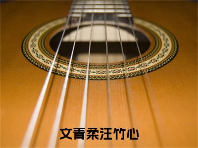 文青柔汪竹心汪竹心文青柔小说-文青柔汪竹心小说全文免费阅读