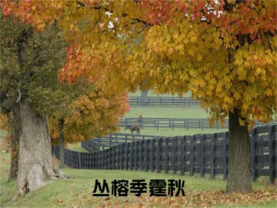 丛榕季霆秋（丛榕季霆秋）全文小说-丛榕季霆秋小说最新章节免费阅读