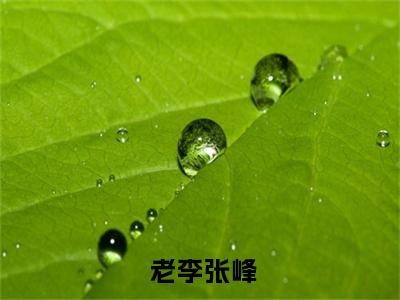 大唐国士无双（ 老李张峰）全文免费阅读无弹窗大结局_（大唐国士无双免费阅读） 老李张峰最新章节列表_笔趣阁（ 老李张峰）