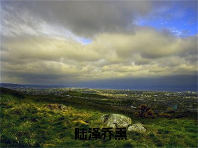  陆泽乔熏（禁止离婚！陆少夜夜跪地轻哄）完整版小说阅读_禁止离婚！陆少夜夜跪地轻哄 陆泽乔熏全文免费阅读（禁止离婚！陆少夜夜跪地轻哄）