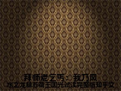 拜师老乞丐：我乃风水之龙林苏荷王国光试读完整版全文免费阅读无弹窗大结局_( 林苏荷王国光)免费阅读全文无弹窗_