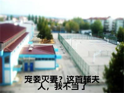 夏瑶云奕霄全文(宠妾灭妻?这首辅夫人,我不当了)完整版小说阅读无删减_(宠妾灭妻?这首辅夫人,我不当了)夏瑶云奕霄全本列表免费笔趣阁(宠妾灭妻?这首辅夫人,我不当了)