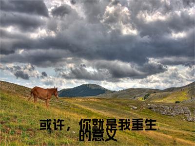 或许，你就是我重生的意义傅栩庭卓若云多人追免费无弹窗小说,傅栩庭卓若云已完结全集大结局